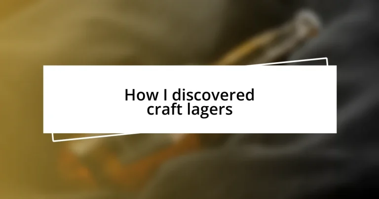 How I discovered craft lagers