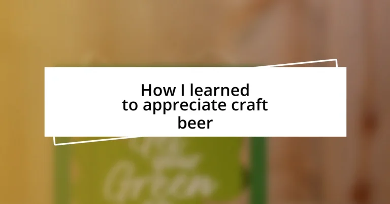 How I learned to appreciate craft beer