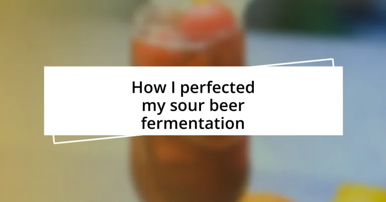 How I perfected my sour beer fermentation