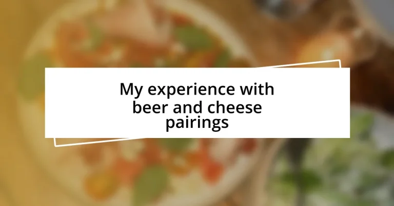 My experience with beer and cheese pairings