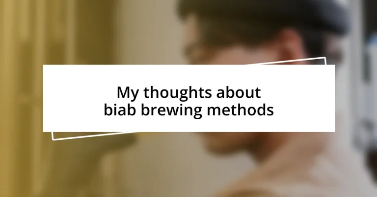 My thoughts about biab brewing methods