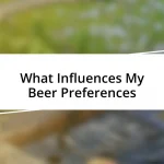 What Influences My Beer Preferences