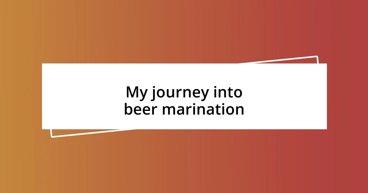 My journey into beer marination