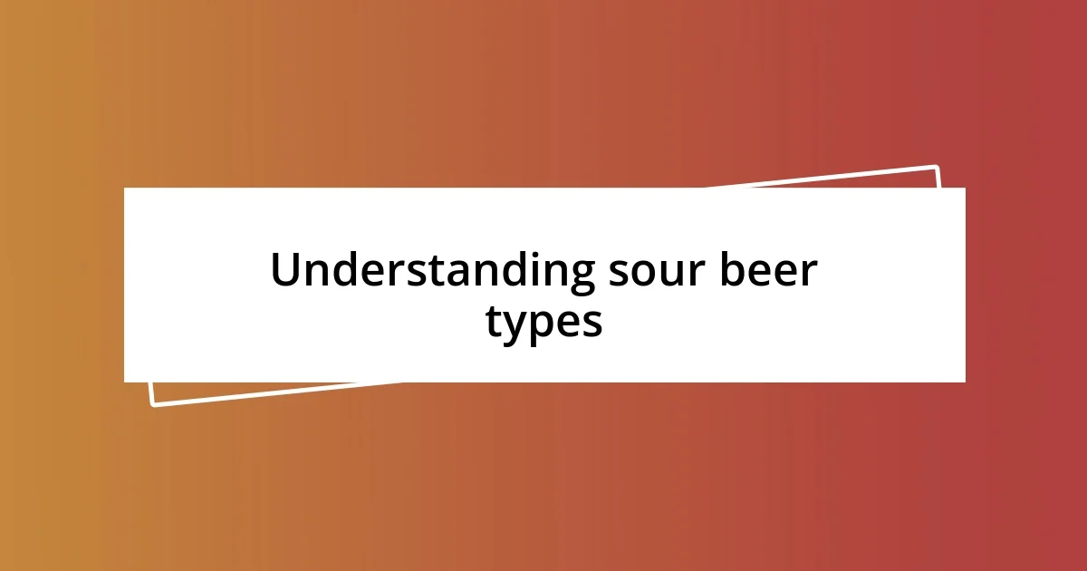 Understanding sour beer types