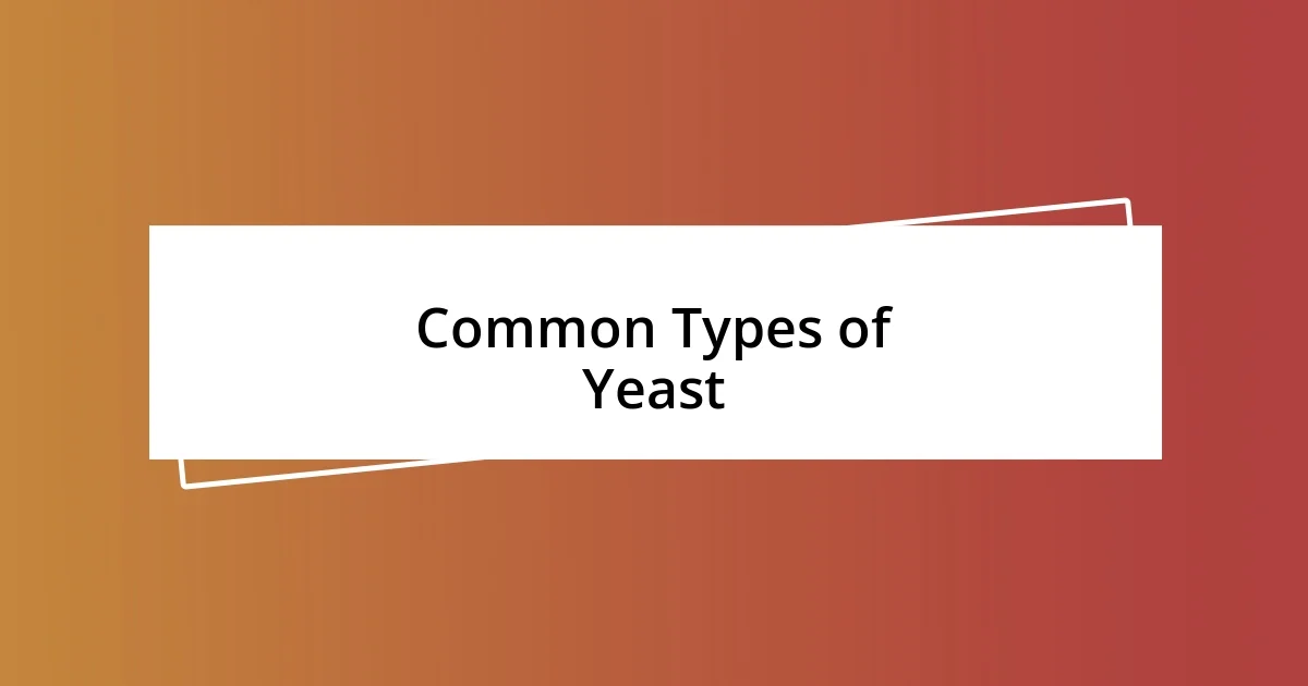 Common Types of Yeast