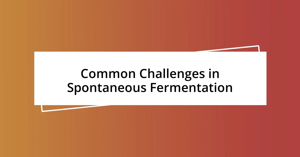 Common Challenges in Spontaneous Fermentation