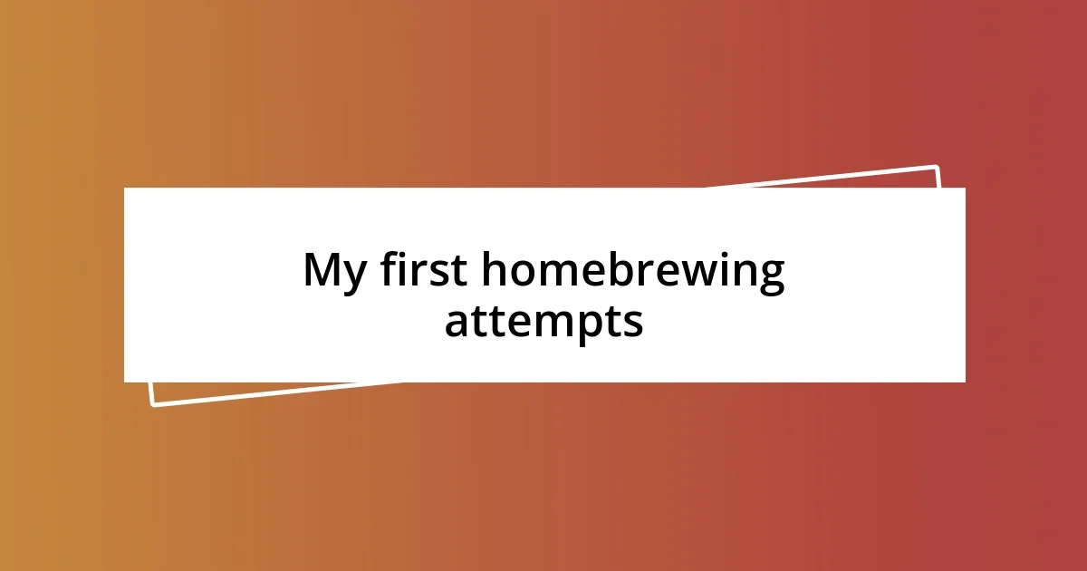 My first homebrewing attempts