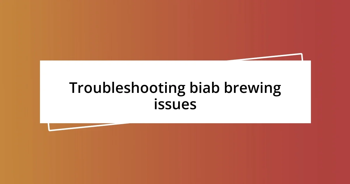 Troubleshooting biab brewing issues